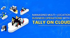 branch tally access via cloud technology for organizations operating across delhi ncr