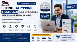 buying tallyprime single user silver license in noida for small business