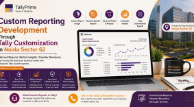 custom reporting development through tally customization in noida sector