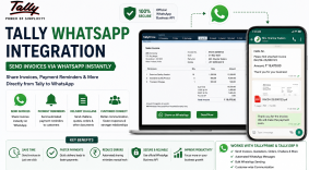 tally whatsapp integration