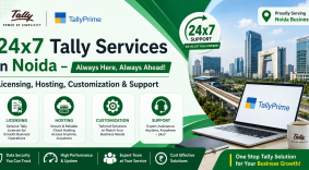 24x7 Tally Services in Noida – Licensing, Hosting, Customization & Support
