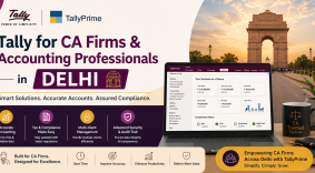 Tally for CA Firms & Accounting Professionals in Delhi