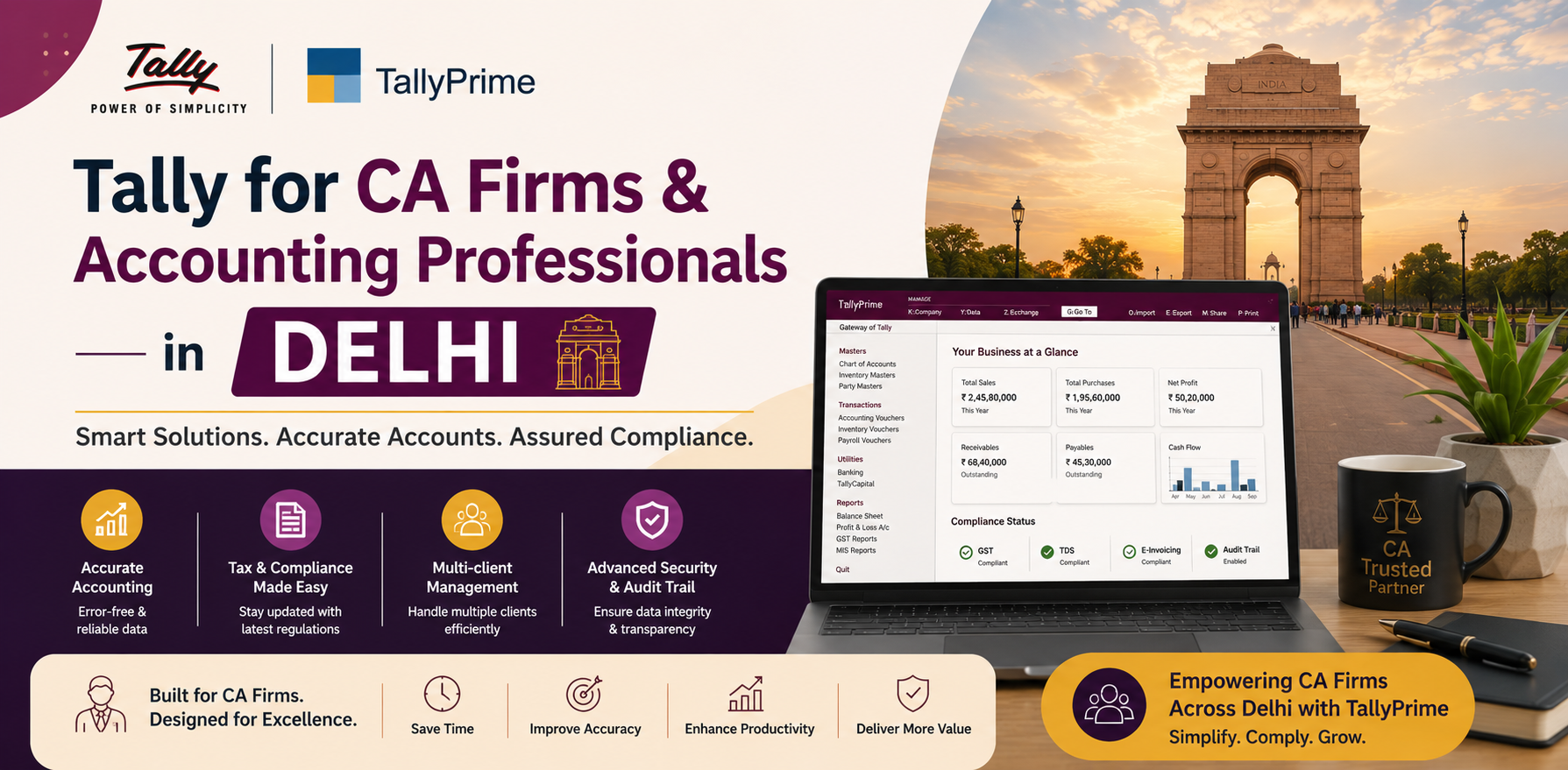 Tally for CA Firms & Accounting Professionals in Delhi