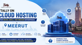 TALLY ON CLOUD HOSTING FOR MICRO