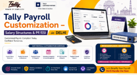 Tally Payroll Customization – Salary Structures & PF/ESI in Delhi