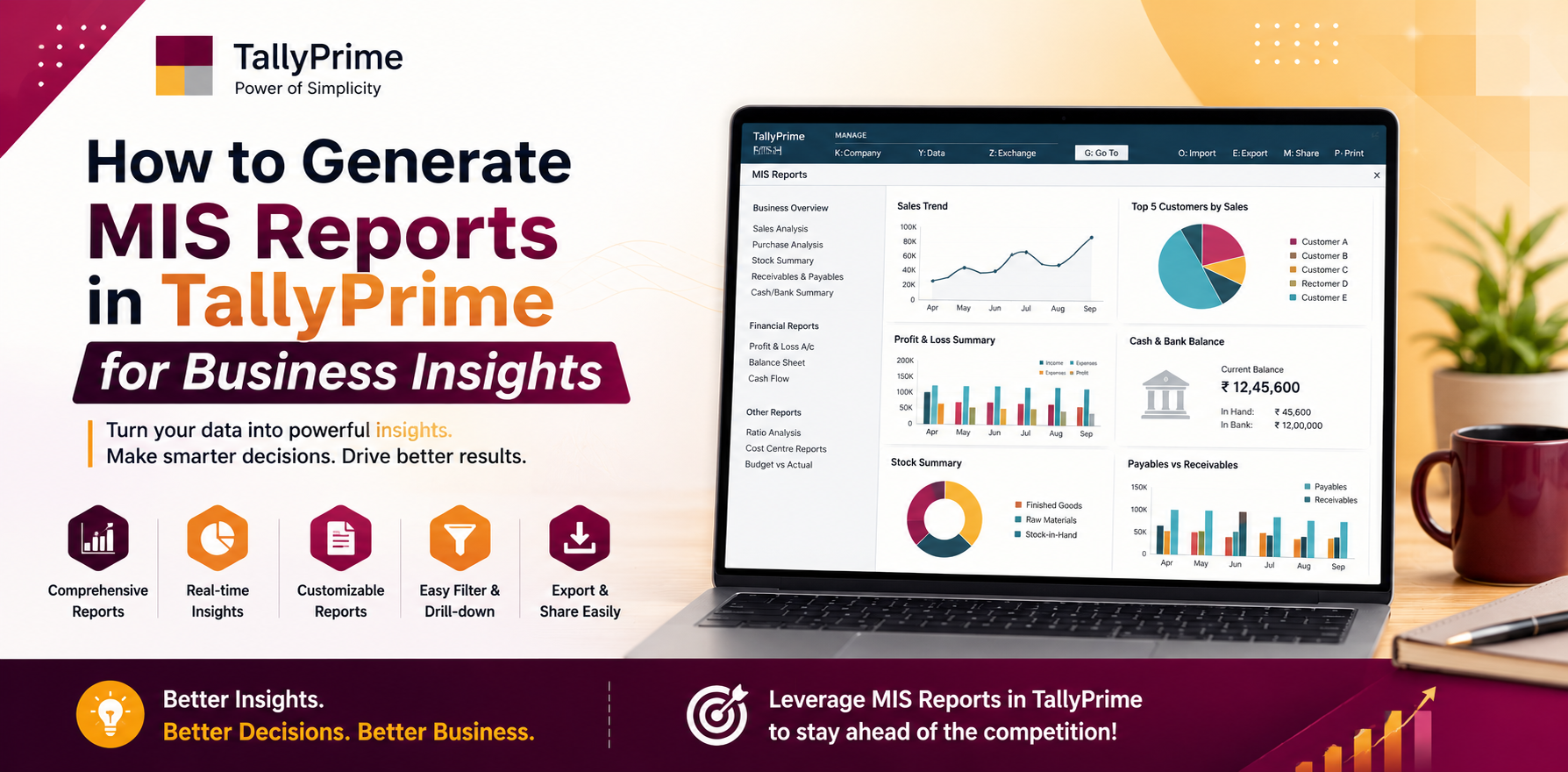 How to Generate MIS Reports in TallyPrime for Business Insights